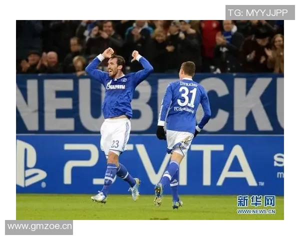 沙尔克04中场大升级，全力冲击欧冠资格